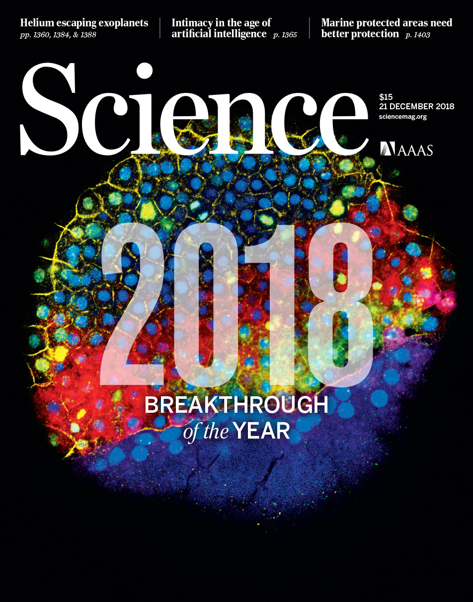 Science December 21 2018 Cover Breakthrough of the Year