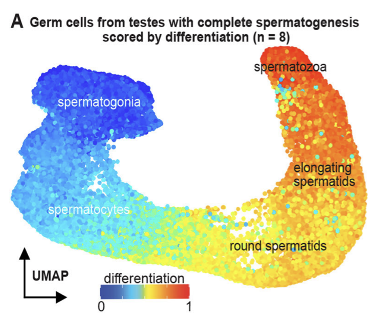 Sposato et al. Fig 4A