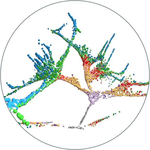 Specification tree of early zebrafish embryogenesis reconstructed with URD